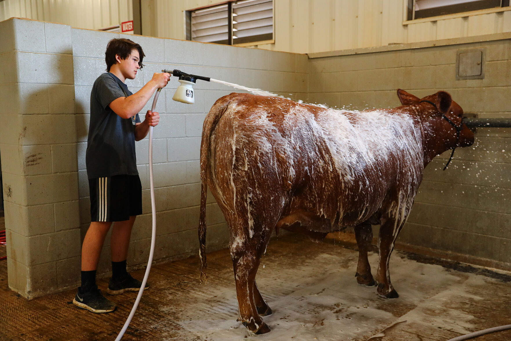 Brazos Valley Youth Livestock Show